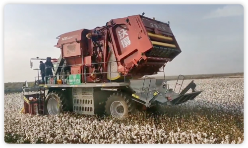 沃得采棉机大放异彩，农民采棉成本大降，市场反响热烈