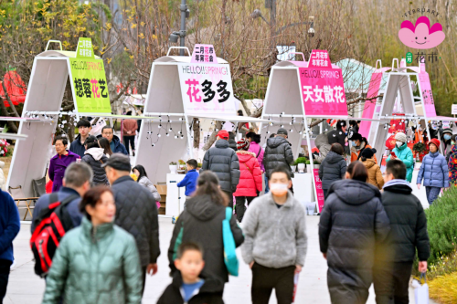 三大点位，亮点纷呈！2024年“二月花市 年宵花会”华丽开市