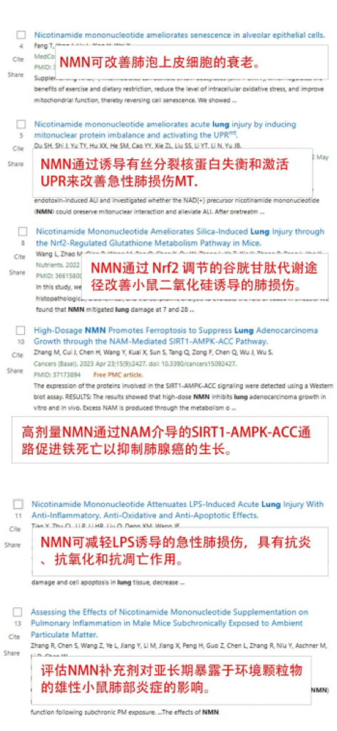 不止提升免疫力？NMN或可预防、缓解支原体肺炎造成的肺部损伤