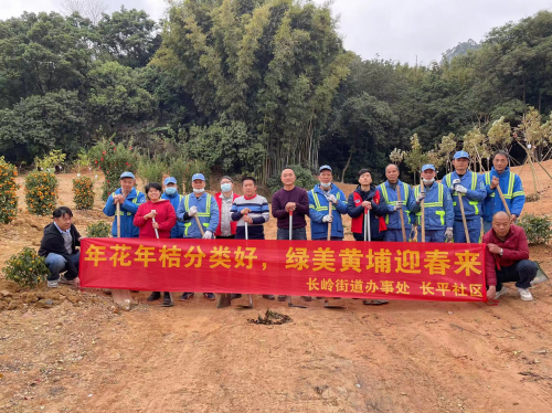 “年花年桔分类好 绿美黄埔迎春来”长岭街道开展年花年桔复种活动