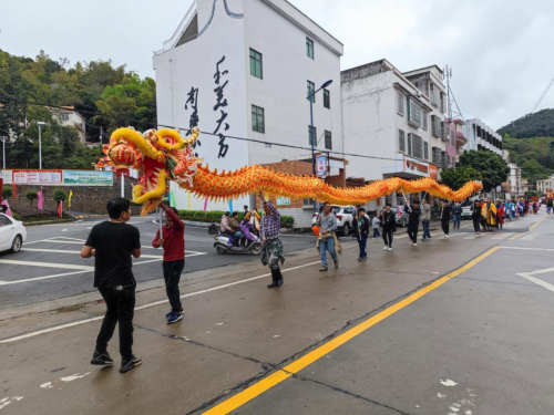 当油茶飘香遇上传统民俗——大方镇首届油茶文化之旅隆重启幕！油茶小镇焕新颜