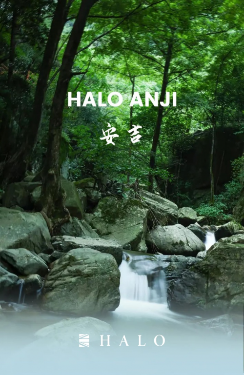 HALO life丨Halo 安吉 于山水间享自然的原生舒适之境