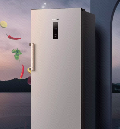 年轻人的第一台冰箱，澳柯玛232立式冷柜上市