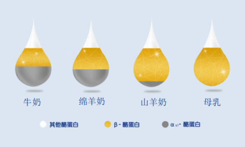 奶粉哪个比较好？“敏宝”家庭就选ta准没错