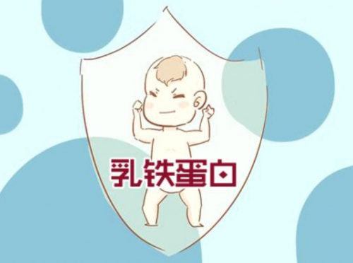 乳铁蛋白奶粉哪个好?权威评测揭示 top 5 首选品牌