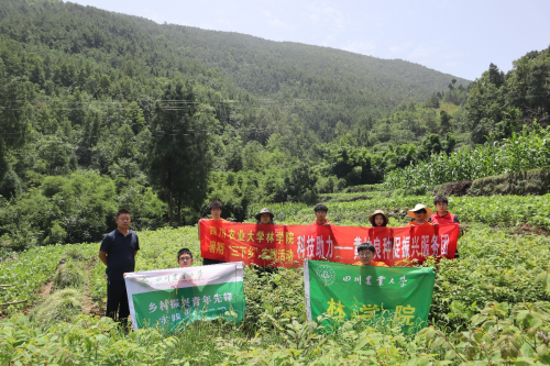 从实验室到田间地头：黄柏良种促振兴，科技力量点亮希望之光