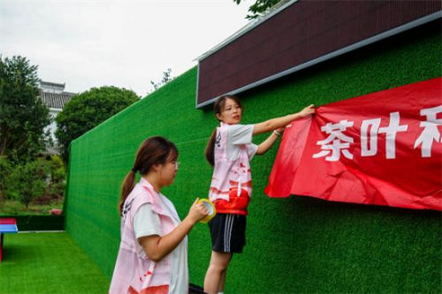 传承茶文化，助力乡村振兴