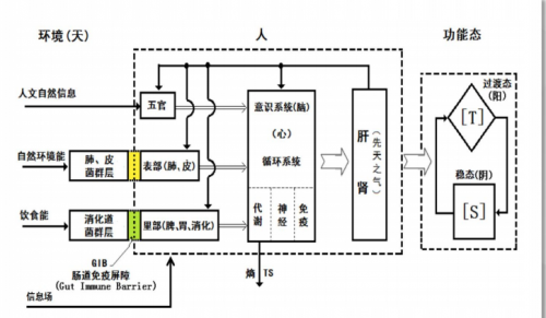 林導：健康生活新思路：全息轉載調(diào)頻生命能量屋