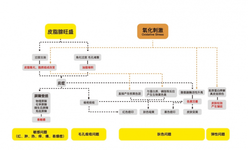 肌活，油皮护肤3.0时代的全链路解法