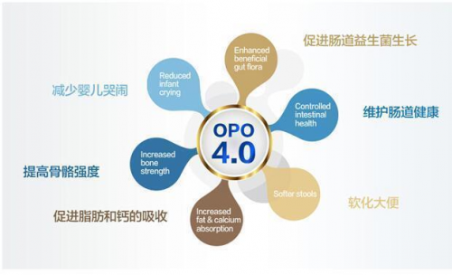 OPO在奶粉中的作用与功效有哪些？精准科普助力选奶