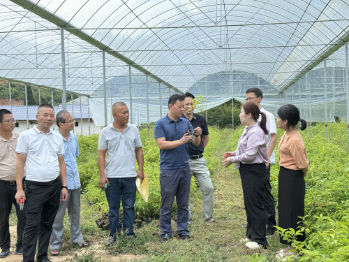 中央财政林业科技推广示范项目“牛樟育苗及栽培技术培训暨送科技下乡活动”在瑞金举行