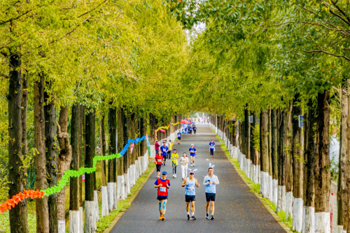 上海农商银行·2024沪浙乡村半程马拉松赛鸣枪起跑