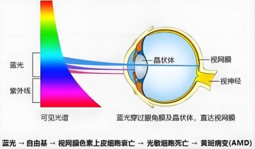 大屏护眼新选择，专业人都认可的海信激光电视有多强？