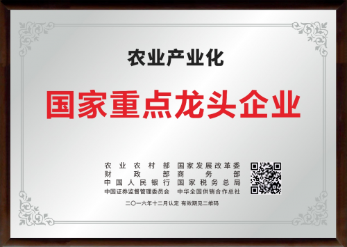 天农食品携手亚洲第一位国际象棋特级大师刘适兰，共启智慧农业新篇章