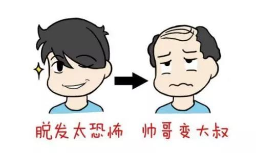 复方斯亚旦生发酊：让秀发重焕生机，告别“聪明绝顶”-热点健康网