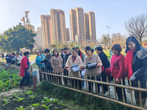 清泉社区“润心田”网格示范田评选活动圆满举行