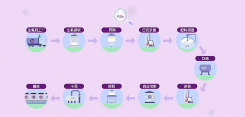 从A1奶源和A2奶源，分析A1蛋白和A2蛋白的区别