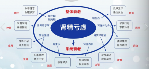 冬日暖阳照，养生正当时 —— 破解上班族亚健康，以科学之名拥抱新春