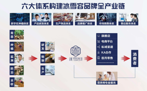 立足黄精产品科研成果转化，冰雪容布局黄精全产业链