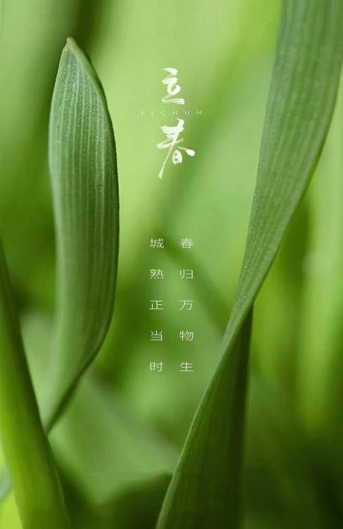 迎春纳福——2025年非遗二十四节气茶道立春茶会在天津文庙举办