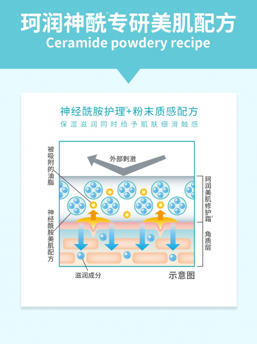 珂润美肌修护霜全新上市！干敏护肤新思路，安心构建美肌屏障