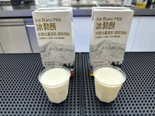 冰勃朗来袭！健康奶茶新宠儿，美味不设限