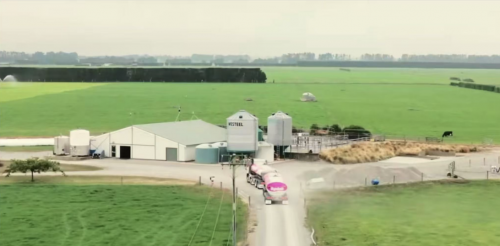 选奶粉指南，为何要认准a2牛奶公司