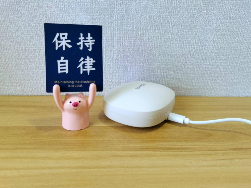 蓝牙耳机哪个牌子好？十大品牌蓝牙耳机排行榜搞懂怎么选！