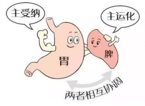 成都御生堂中医馆左都华：中医“脾胃论”，引领养生新潮流
