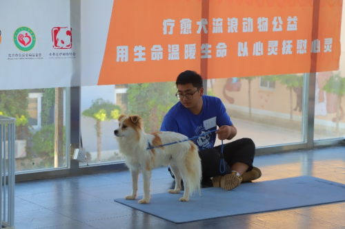 养宠有助于身心健康？玛氏全球研究计划致力于提供科学洞察