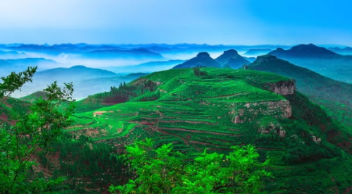 “临”春行，与您“沂”起 | 临沂文旅品牌馆重磅上线！