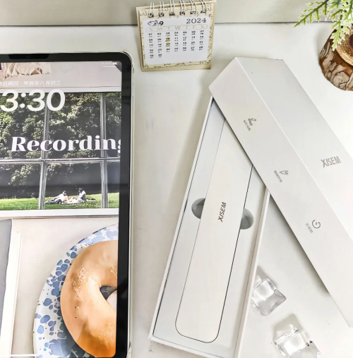 ipad电容笔平替哪个比较好？2025年性价比高的前十名推荐！