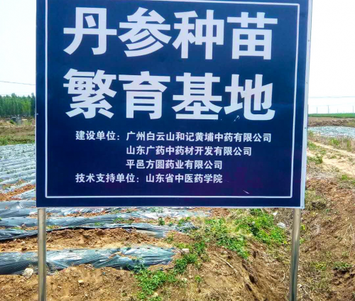 广药白云山复方丹参片，守护心血管健康的忠诚卫士