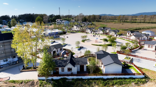 鸡西市市县联动举办 2025 年春季学期新任职处科级干部培训班