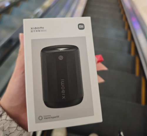 蓝牙音箱哪个品牌好?2025年十大蓝牙音箱品牌推荐，音质超群！