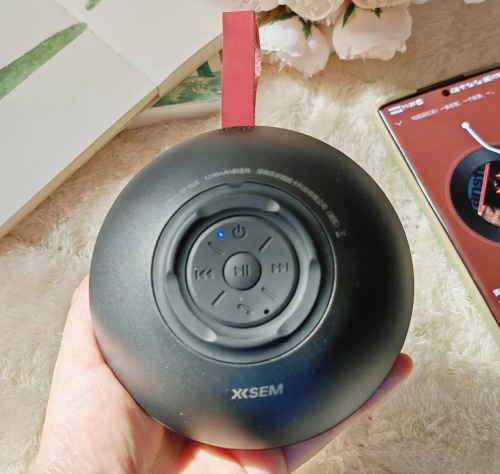 蓝牙音箱哪个品牌好?2025年十大蓝牙音箱品牌推荐，音质超群！