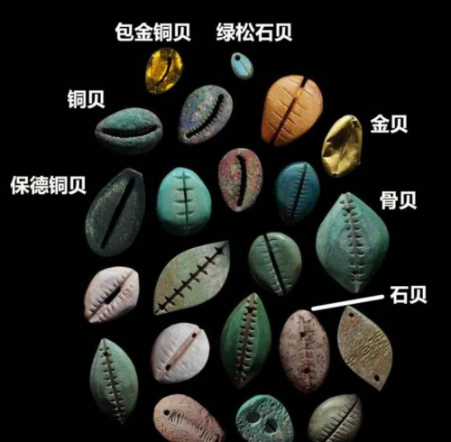 澄迈开展候鸟人才“中华古今货币发展史”文化讲座
