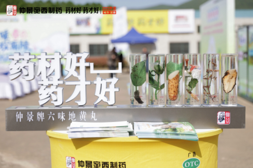 春日药香漫山时：仲景宛西制药牡丹皮基地开启中医药启蒙课堂