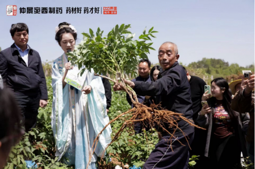 春日药香漫山时：仲景宛西制药牡丹皮基地开启中医药启蒙课堂