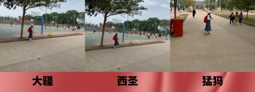 无线领夹麦克风怎么选？西圣|大疆|猛犸麦克风横向测评