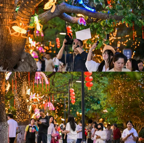 苏州太湖东山枇杷文化旅游季人气爆棚，万人打卡盛况直击