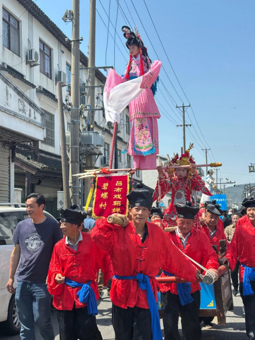 苏州太湖东山枇杷文化旅游季人气爆棚，万人打卡盛况直击