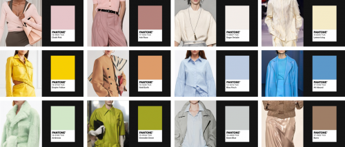 Pantone 潘通：色彩趋势引领品牌赋能，美学创新解锁商业势能