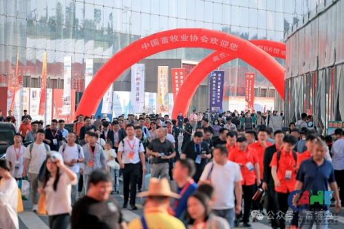 畜牧巨擘 齐聚青岛 只为一盛事 2025畜博会即将启幕