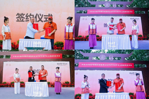 向善经济：推动社会发展的温暖力量，探索文化产业新机遇