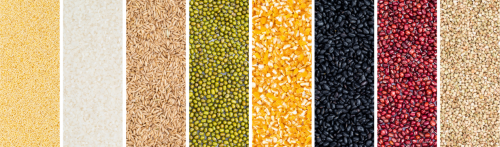 长轻营养食疗调理可靠吗？为健康护航，引领养生年轻化潮流