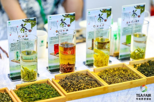 Amazing Tea Expo Coming Soon!