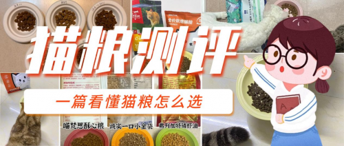 宠物猫粮怎么选？2025国产猫粮排名前十品牌推荐