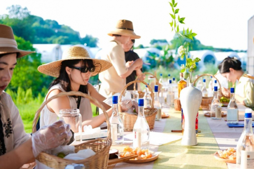 梅见青梅酒：以慢功夫酿出中国新酒饮的产业革命