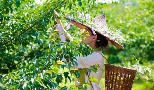 梅见青梅酒：以慢功夫酿出中国新酒饮的产业革命